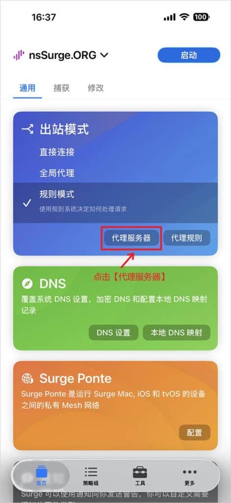Surge 代理服务器